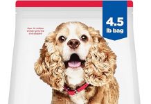 Hill’s Science Diet Small & Mini 11+ Review: Is This Senior Dog Food Worth It?
