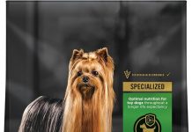 Purina Pro Plan Toy Breed Dog Food Review: Is This Formula Worth It for Small Dogs?