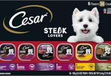 Cesar Wet Dog Food Steak Lovers Review: Is It Worth the Price for Your Dog’s Health?