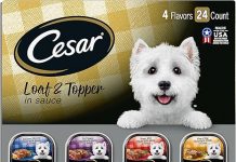Cesar Wet Dog Food Variety Pack Review: Is It Worth the Price for Your Dog’s Health?