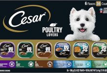 Cesar Wet Dog Food Poultry Lovers Variety Pack Review: Worth It for Your Dog?