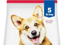 Hill’s Science Diet Adult 1-6 Dry Dog Food Review: Is It Worth the Investment?