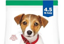 Hill’s Science Diet Puppy Review: Is the Premium Nutrition Worth the Price for Your Pup?