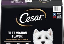 Cesar Small Breed Dry Dog Food Review: Is the Filet Mignon Flavor Worth It for Your Dog?