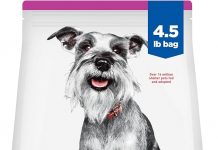 Hill’s Science Diet Small & Mini Senior Dog Food Review: Is It Worth the Price?