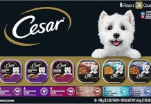 Cesar Wet Dog Food Review: Is the Home Delights & Classic Loaf Variety Worth It?