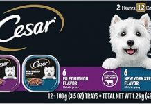 Cesar Filets in Gravy Dog Food Review: Is It Worth the Price for Your Pet’s Health?