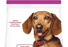 Hill’s Science Diet Perfect Weight Review: Is It the Right Choice for Your Small Dog’s Health?