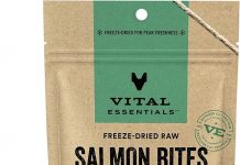Vital Essentials Salmon Bites Dog Treats Review: High-Protein, Grain-Free Worth It?
