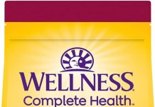 Wellness Complete Health Senior Dry Dog Food Review: Is It Worth the Price for Small Breeds?