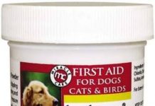 Styptic Powder for Pets Review: Does It Really Protect Nails & Stop Bleeding Effectively?