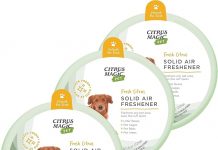 Citrus Magic Pet Odor Absorbing Solid Air Freshener Review: Does It Really Eliminate Odors?