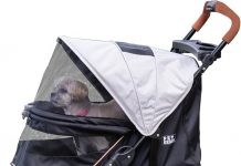 Pet Gear No-Zip AT3 Pet Stroller Review: Worth It for Cats & Dogs?