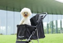 Pet Stroller for Dogs and Cats Review: Comfort, Convenience, and Value for Small to Medium Pets