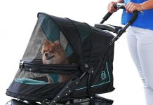 Pet Gear No-Zip Push Button Pet Stroller Review: Is It Worth the Price for Your Pet?