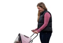 Pet Gear Travel Lite Plus Stroller Review: Is It Worth the Hype for Small Pets?