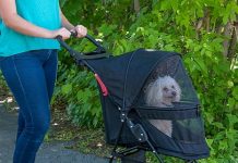 Pet Gear No-Zip Happy Trails Lite Pet Stroller review Is It Worth It for Small Pets?