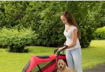 Pet Gear NO-Zip Pet Stroller Review – Is Dual Entry & Zipperless Worth It for Pets?