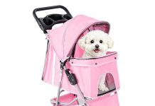 3 Wheels Pet Stroller Review – Comfort, Safety & Practicality for Small Pets Evaluated