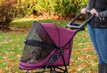 Pet Gear No-Zip Happy Trails Lite Pet Stroller Review: Worth It for Cats & Dogs?