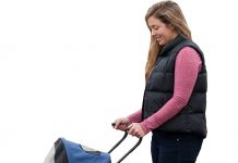 Pet Gear Travel Lite Plus Stroller Review: Is It the Right Fit for Your Small Pet?