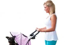 Pet Gear No-Zip Happy Trails Pet Stroller Review: Is It Worth the Investment for Your Pet?