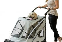 Pet Gear NO-Zip Pet Stroller Review: Is It the Best Option for Easy Pet Transport?