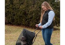 Pet Gear Travel Lite Plus Stroller Review: Is This Lightweight Option Worth the Investment?