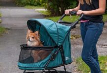Pet Gear No-Zip Happy Trails Pet Stroller Review: Is It Worth the Investment for Your Pet?