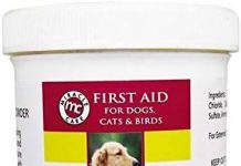 Gimborn Kwik Stop Styptic Powder Review: Is It the Best Nail Care Solution for Pets?