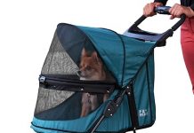 Pet Gear No-Zip Happy Trails Stroller Review: Is It Worth the Hype for Your Pet?