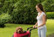 Pet Gear NO-Zip Pet Stroller Review: Is the Zipperless Design Worth the Hype?