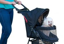 Pet Gear No-Zip Happy Trails Lite Pet Stroller Review: Worth the Investment for Pet Parents?