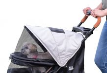 Pet Gear No-Zip AT3 Pet Stroller Review: Is It Worth the Investment for Active Pet Owners?