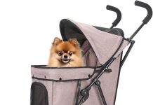 Umbrella Dog Stroller Review: Comfort, Convenience & Value for Small Dogs and Cats