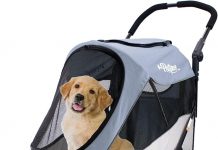 Petique Trailblazer Jogger Review: Is This Medium Pet Stroller Worth Your Investment?
