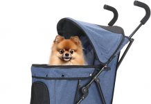 Wedyvko Travel Portable Dog Stroller Review: Is It Worth the Investment for Small Pets?