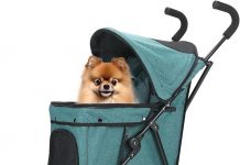 Umbrella Dog Stroller Review: Is It Worth the Investment for Small Pets?