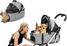 Pet Stroller for Cats and Small Dogs Review: Comfort, Durability, and Practicality Tested