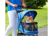 Pet Gear No-Zip Happy Trails Pet Stroller Review: Is It Worth the Price for Your Pet?