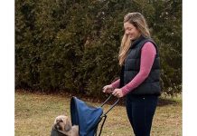 Pet Gear Travel Lite Plus Stroller Review: Worth It for Small Dogs & Cats?