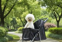 Pet Stroller for Dogs and Cats Review: Comfort, Safety & Value Examined