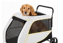 Large 4 Wheels Pet Stroller Review: Is It Worth the Price for Bigger Pets?
