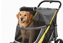Large Dog Stroller Review: Is It Worth the Investment for Your Big Pet’s Comfort?