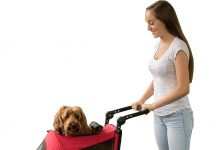 Pet Gear NO-ZIP Stroller Review: Is the Zipperless Design Worth the Investment for Your Pets?