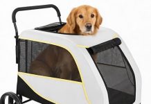 Dog Stroller for Large Dogs Review: Is It Worth the Investment for Your Pet’s Comfort?