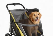 Dog Stroller for Large Dogs Review: Worth the Investment for Senior Pets or Not?