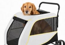 Large Dog Stroller Review: Is It Worth the Investment for Big Pets and All-Terrain Use?