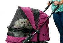 Pet Gear NO-ZIP Double Pet Stroller Review: Is It the Right Choice for Your Pets?