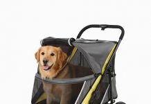 Large Pet Stroller Review: Is This Heavy-Duty Dog & Cat Stroller Worth It?